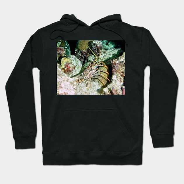 Caribbean Spotted Lobster on Night Dive Hoodie by Scubagirlamy